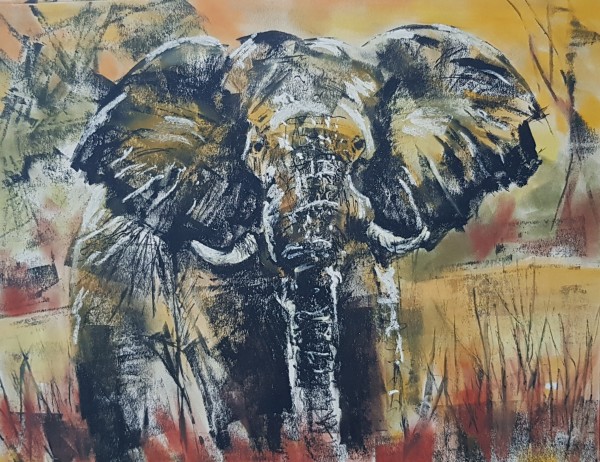 Elephant Dusk by Anne Cowell