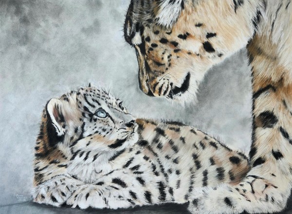 Snow Leopards by Anne Cowell