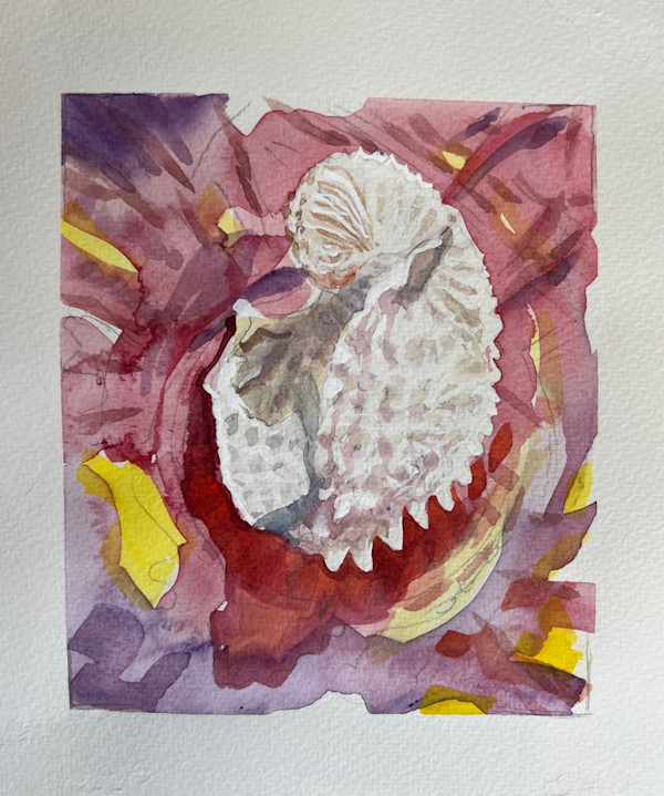 nautilus by Vicki Bosisto, Image 3.