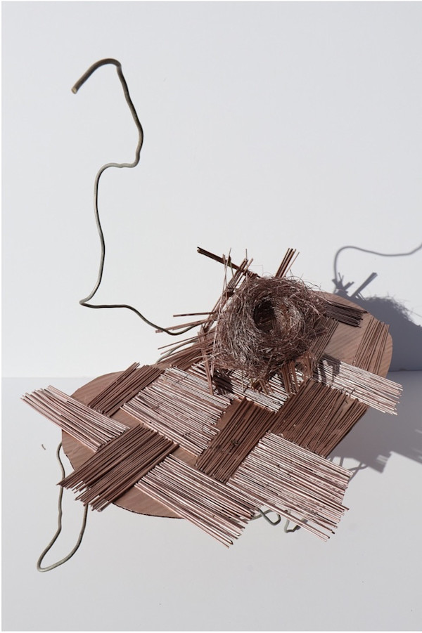 Nest by Vicki Bosisto, Image 3.