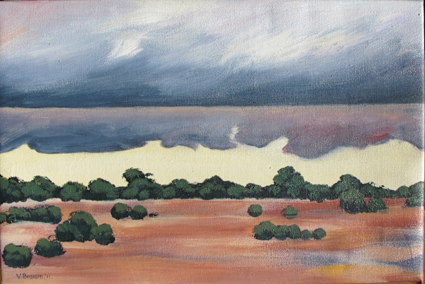 Storm by Vicki Bosisto, Image 16.