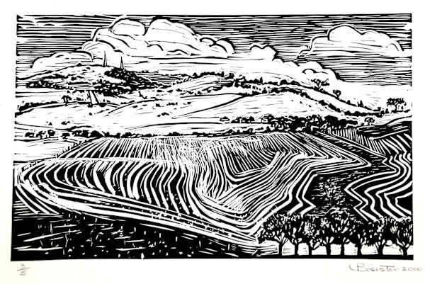 Winters Hill by Vicki Bosisto