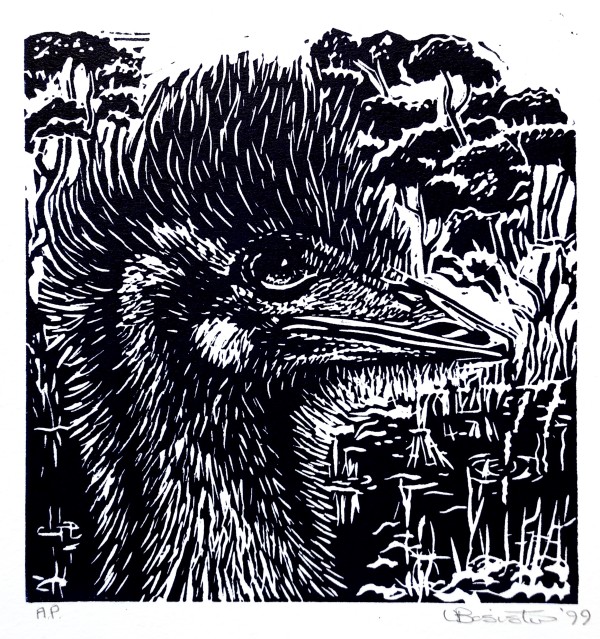 Emu by Vicki Bosisto