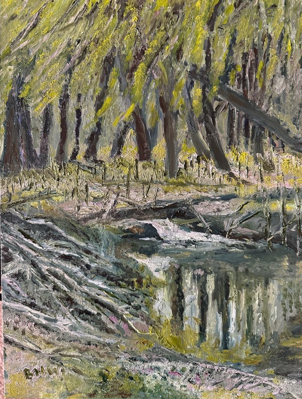 Dry Creek by Brian Hugh Wagner