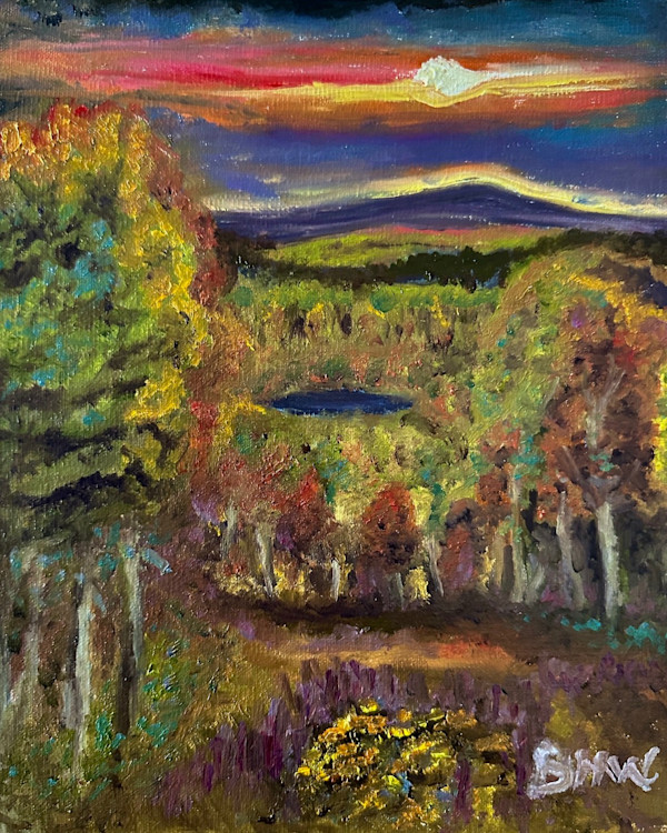 Fire in the Sky by Brian Hugh Wagner