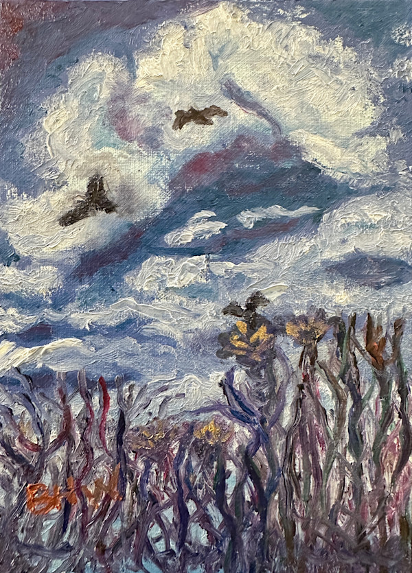 Hawk Eyes 1 by Brian Hugh Wagner, Image 1.