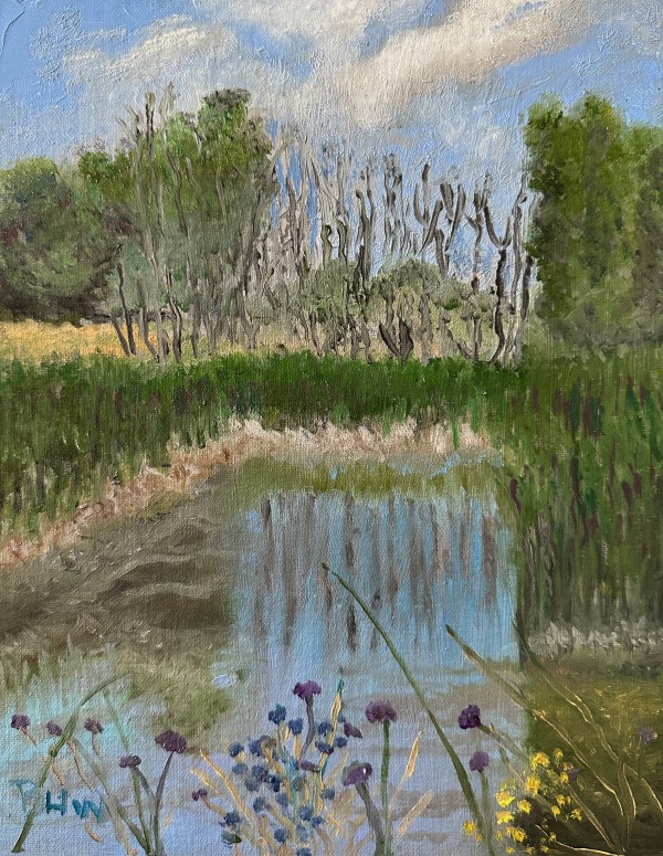Wetlands Preservation by Brian Hugh Wagner