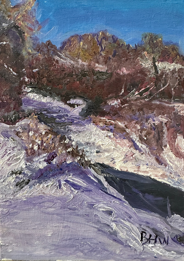 Ice Flow by Brian Hugh Wagner