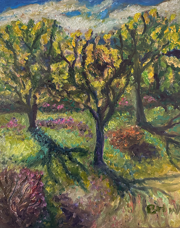 Macy Sunshine by Brian Hugh Wagner