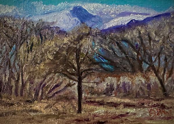 Macy Vista by Brian Hugh Wagner