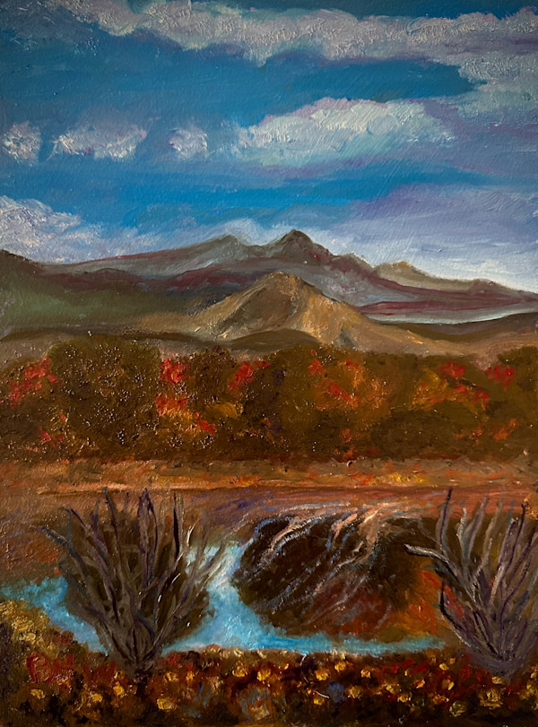 Soul Reflection by Brian Hugh Wagner