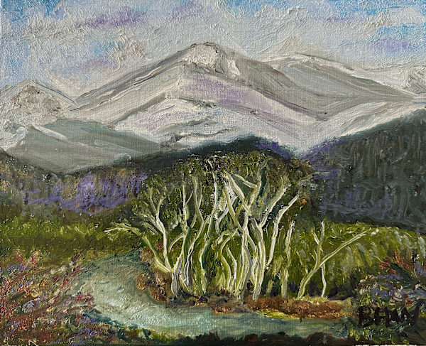 Spring Runoff by Brian Hugh Wagner
