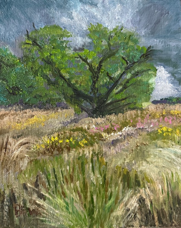 The Coming Storm by Brian Hugh Wagner