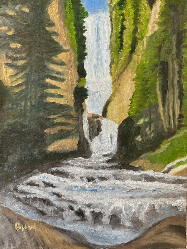 The Falls Telluride by Brian Hugh Wagner