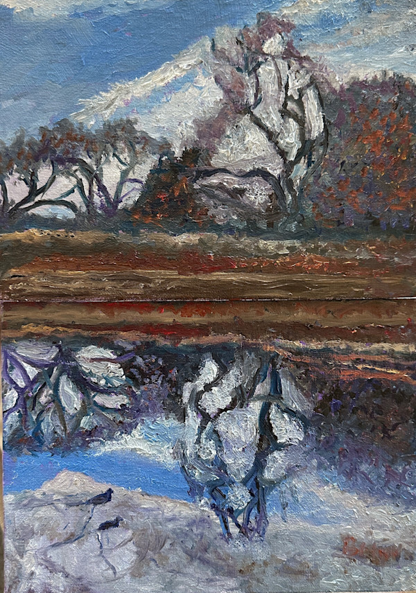 Winter Reflections by Brian Hugh Wagner