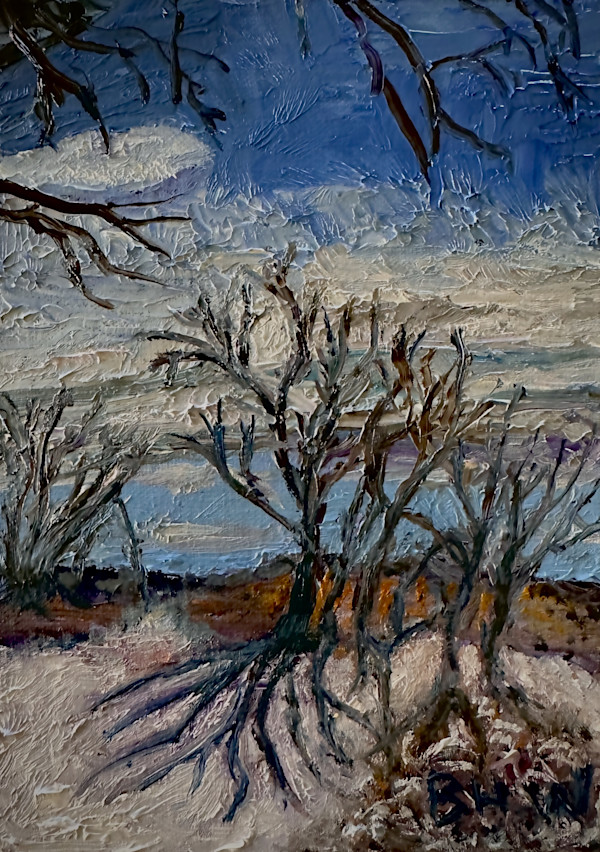 Winter Shade by Brian Hugh Wagner