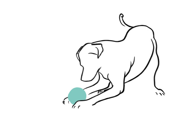 Labrador with green ball