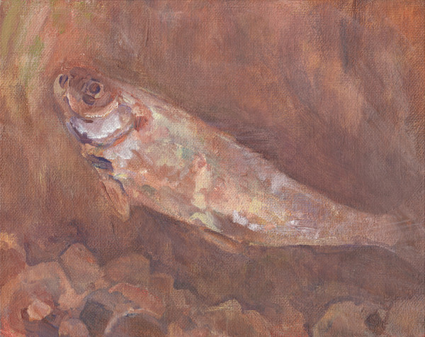 Alewife by Abby McBride, Image 1.