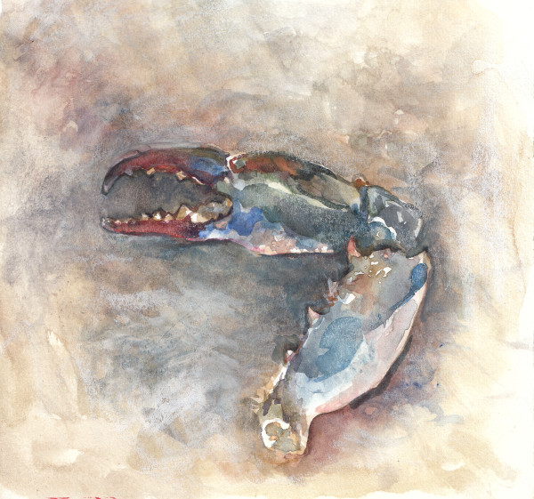 Blue crab by Abby McBride