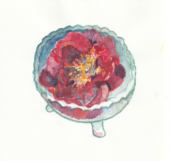 Third camellia by Abby McBride