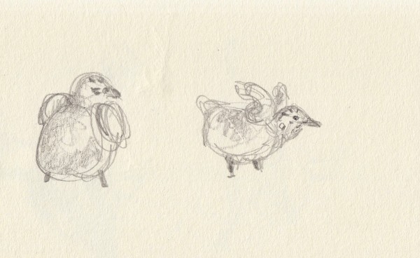 Gull chick by Abby McBride