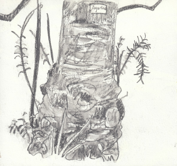 Christchurch Kauri by Abby McBride, Image 1.