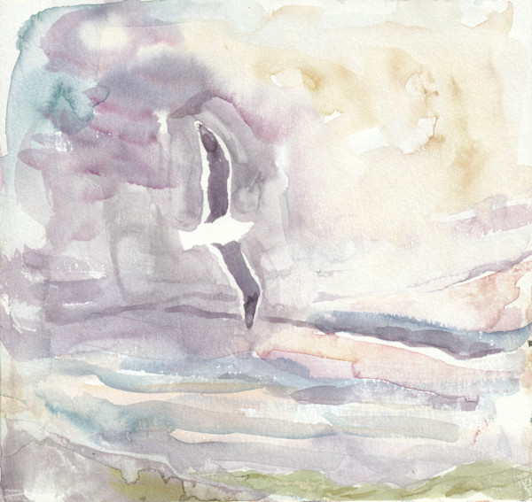 Dunedin Gull by Abby McBride, Image 1.
