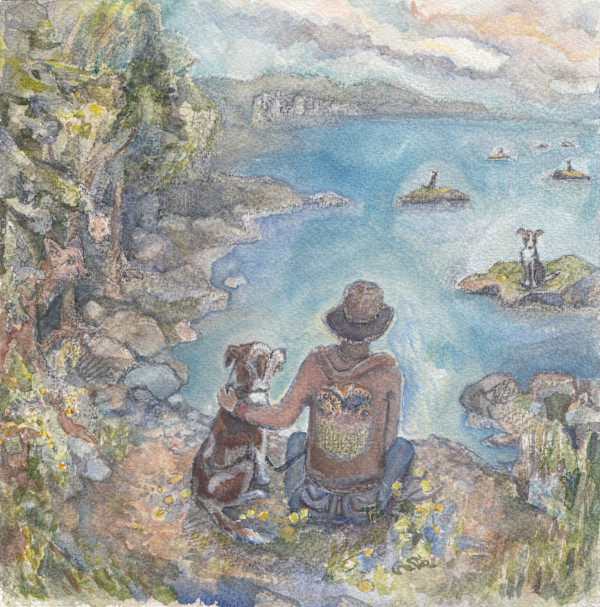 Islands of domestication by Abby McBride