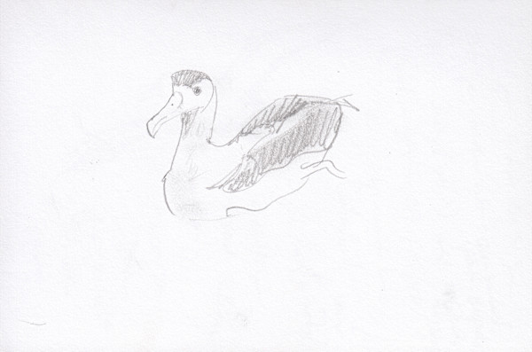 Gibson’s Albatross by Abby McBride, Image 1.
