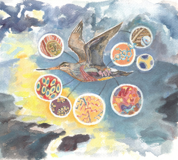 Migration physiology by Abby McBride, Image 1.
