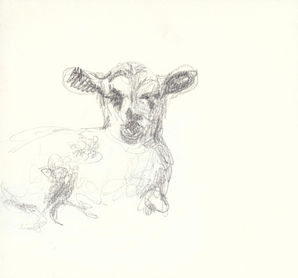 Helton Lamb 2 by Abby McBride, Image 1.