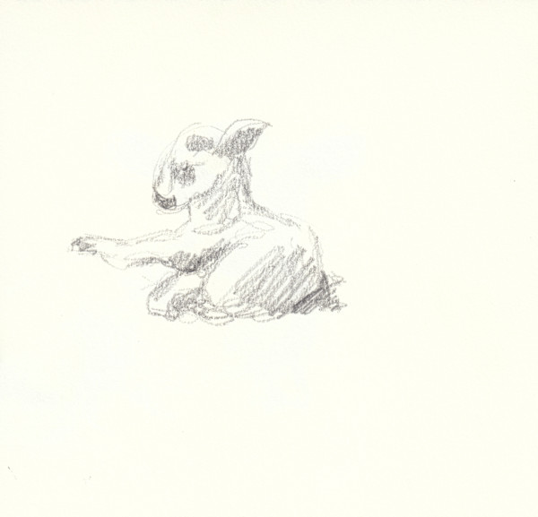 Helton Lamb by Abby McBride, Image 1.