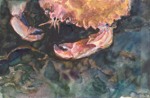 Jonah crab by Abby McBride