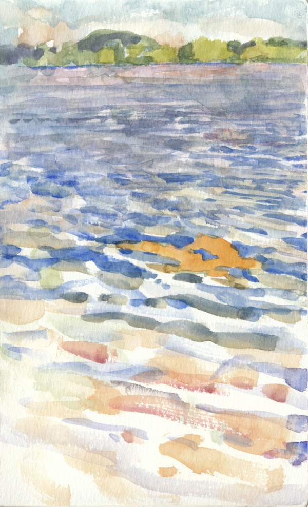One Rockweed Patch by Abby McBride, Image 1.