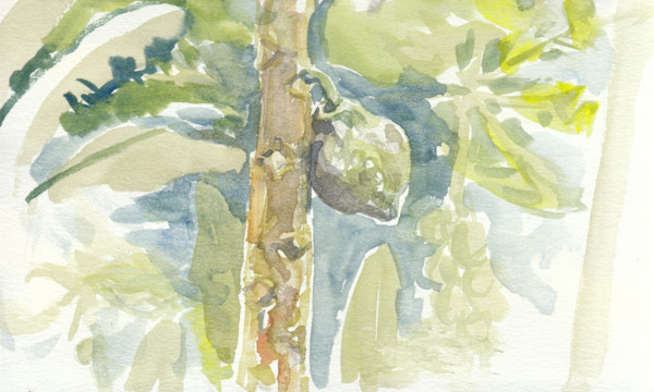 Papaya by Abby McBride, Image 1.