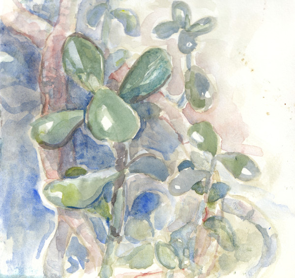 Decades of jade by Abby McBride