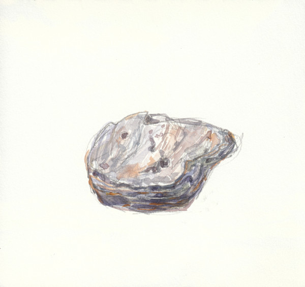 Alpine Fault Schist by Abby McBride, Image 1.