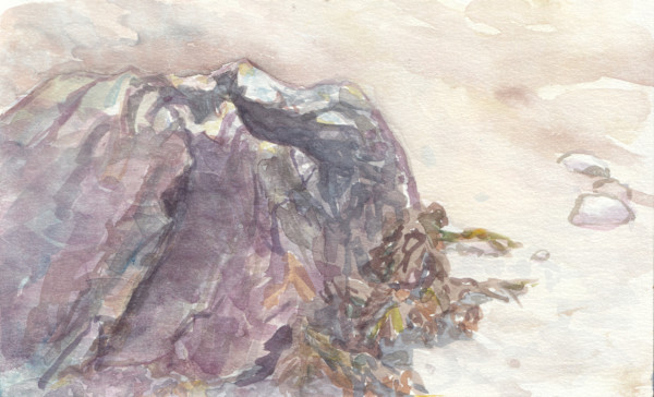 Rockweed Edge by Abby McBride, Image 1.