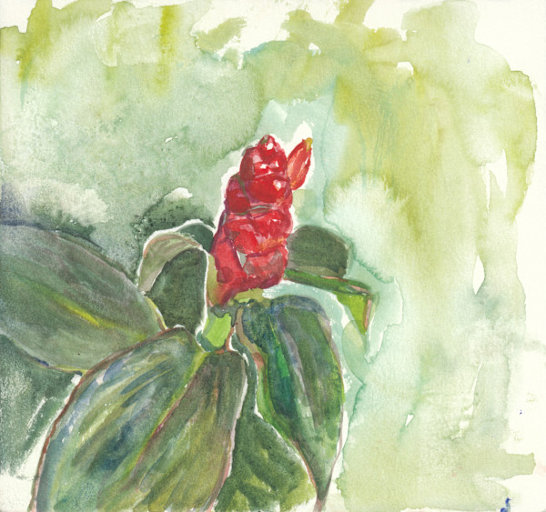 Singapore Bud by Abby McBride, Image 1.