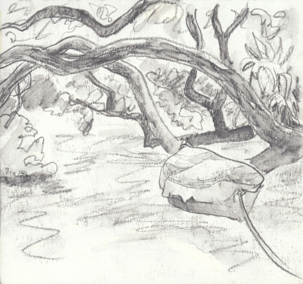 Ti Boat by Abby McBride, Image 1.