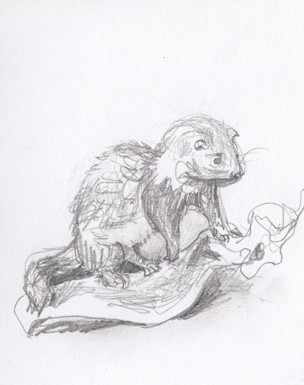 Whangarei Stoat by Abby McBride, Image 1.