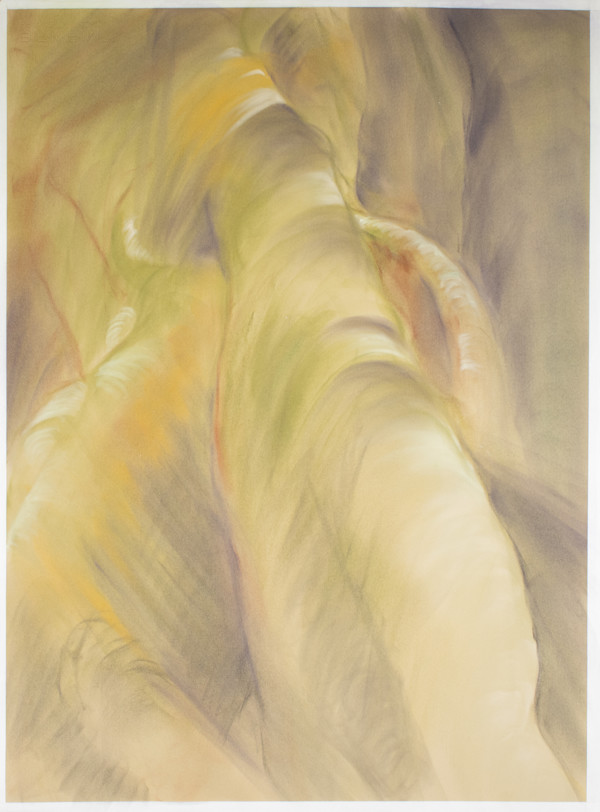 …at the foot of a 400 year old Ceiba #4 by Wanda Raimundi