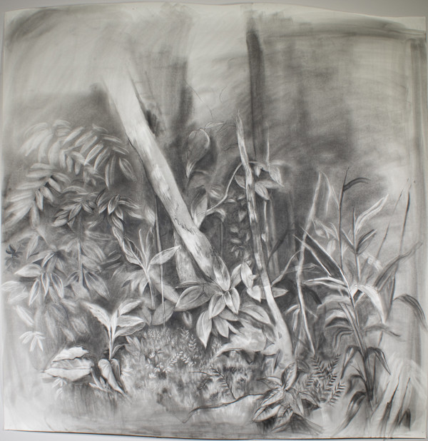 Las Hermanas (El Yunque)  #4  48”x48” by Wanda Raimundi