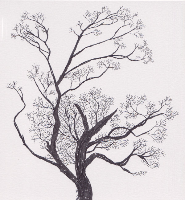 Tree in January by Kimberly McGraw Moore