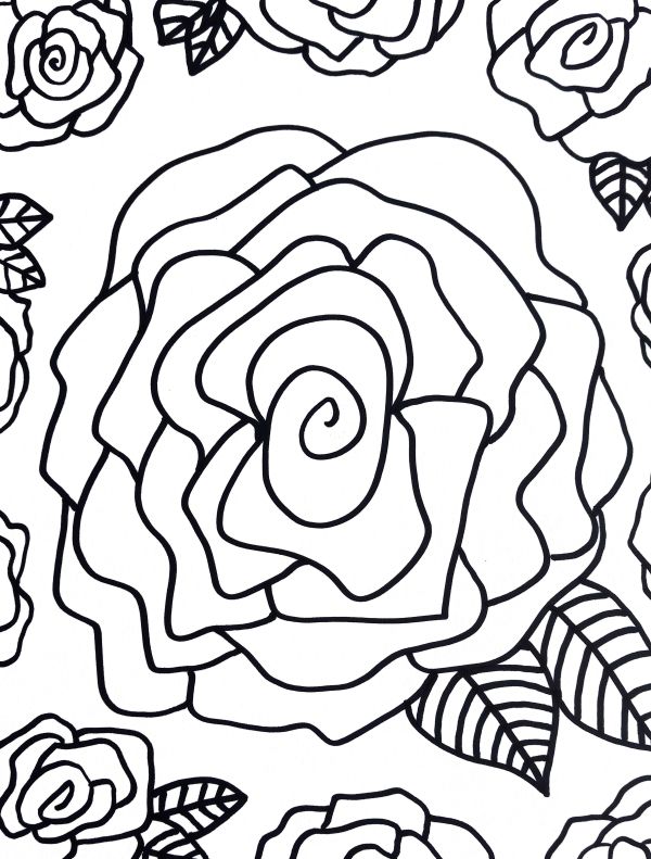 Full Bloom by Kimberly McGraw Moore