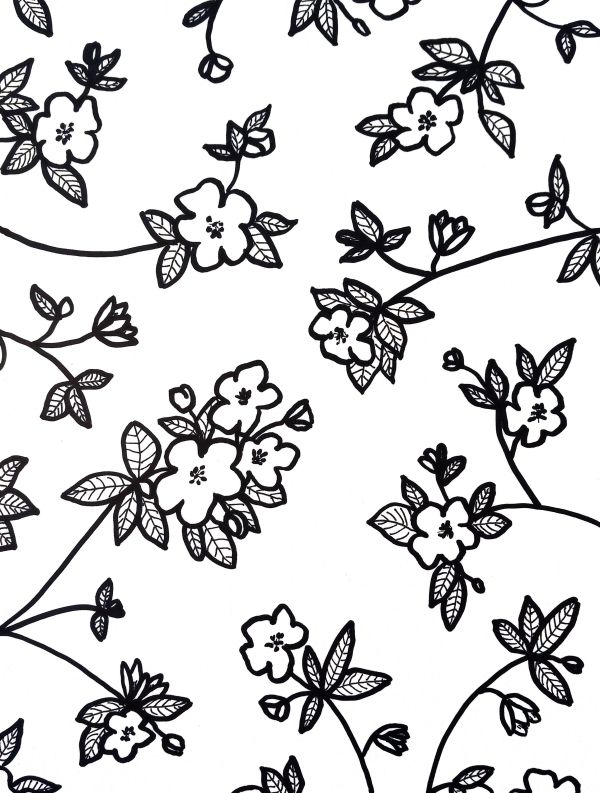 Cherry Blossoms by Kimberly McGraw Moore