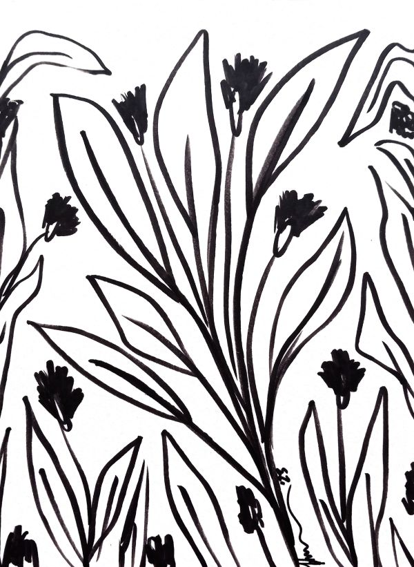 Jungle Flowers by Kimberly McGraw Moore