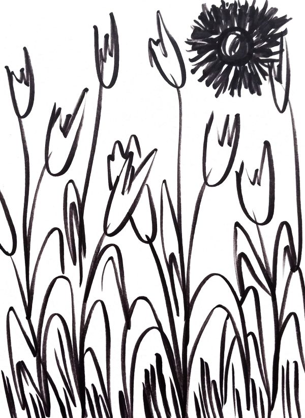 Sketchy Tulips by Kimberly McGraw Moore