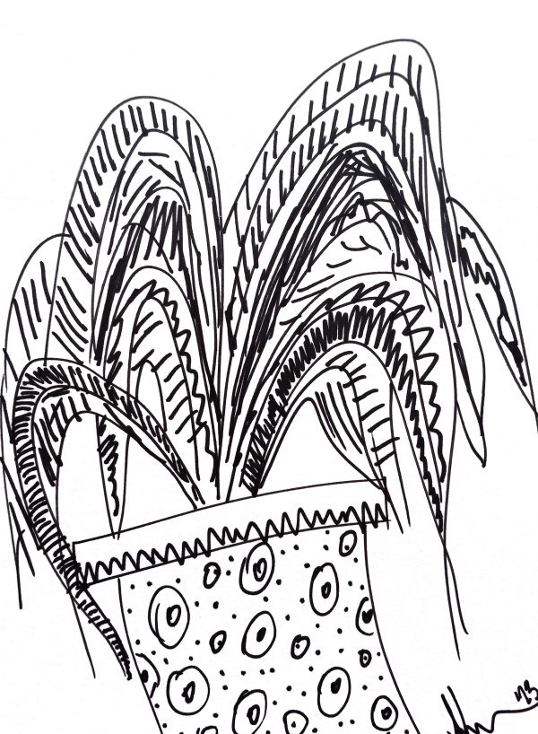 Sketchy Potted Plant by Kimberly McGraw Moore