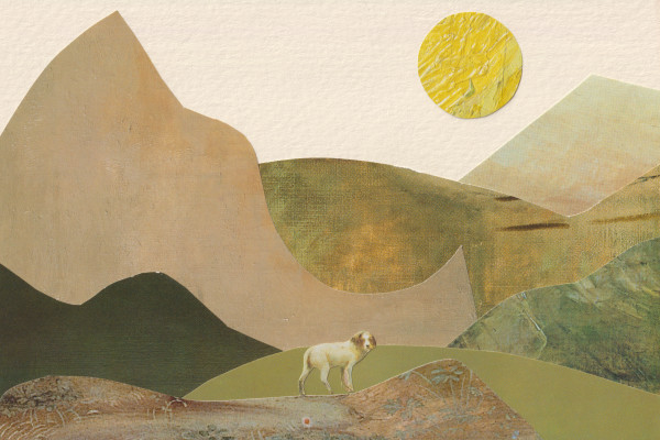 Languor Meadow by Kimberly McGraw Moore